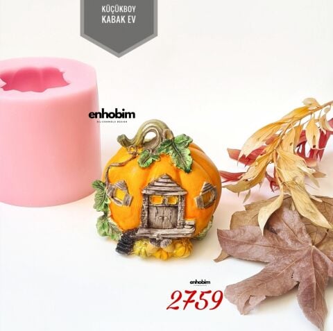 Küçük Boy Kabak Ev Silikon kalıp