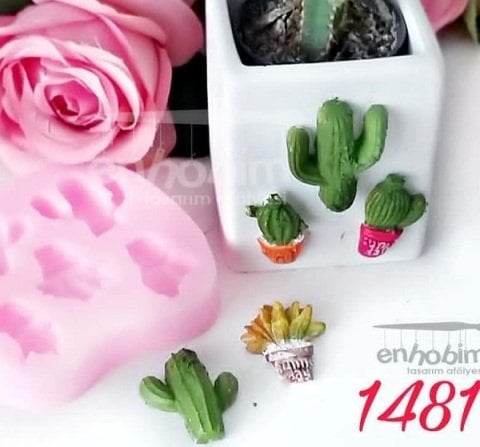 5li kaktüs silikon kalıp