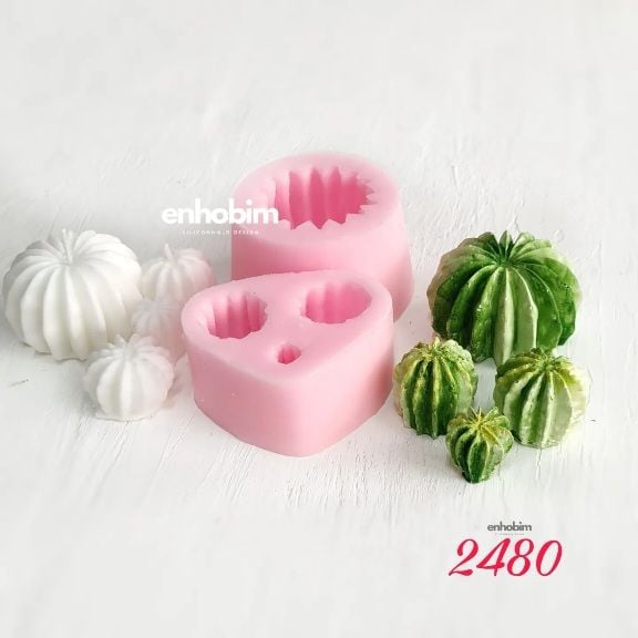 Kaktüs Set 4lü Silikon Kalıp