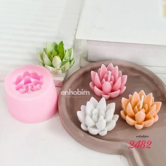 Sukülent küçük sivri agavoides silikon kalıp