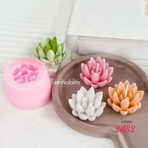Sukülent küçük sivri agavoides silikon kalıp