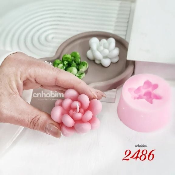 Sukulent Kaktüs moonstone Silikon kalıp