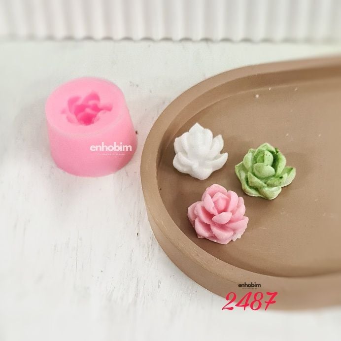 Sukulent Mini Silikon Kalıp