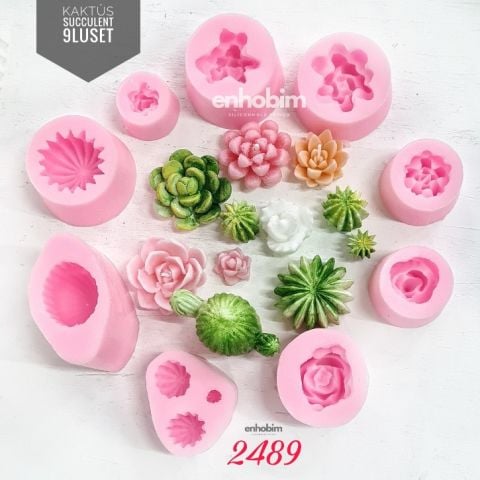 Sukulent Kaktüs 9lu Set silikon Kalıp