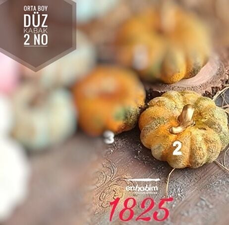 Orta Boy Düz kabak 2no silikon kalıp