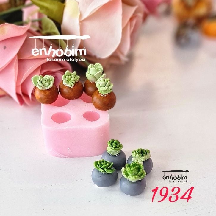 4lü yuvarlak kaktüs silikon kalıbı