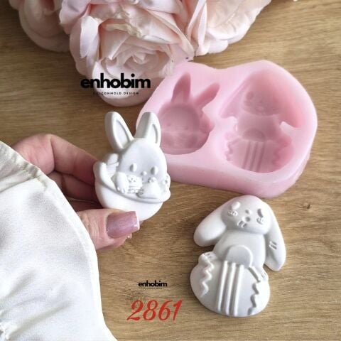 Yumurta İçinde tavşanlar Silikon Kalıp